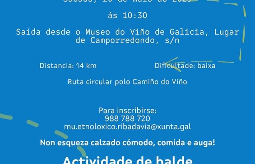 Paseo por el camino del vino